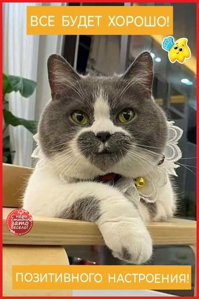 Наша группа от души желает вам всего доброго! 😃🤗 | Татьяна Хадан | ВКонтакте