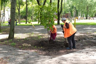 зеленхоз липецк нижний парк. охранник в школе. охранники в американских школах. сад охраняет. сад охраняет.