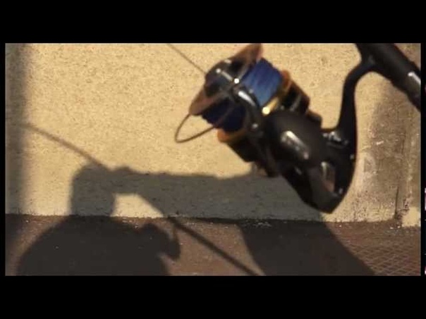 New Shimano Stella SW + Shimano Ocea Bluefin Tuna vs.