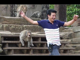 Monkey Attack Tourist’s Man At Bayon Temple
