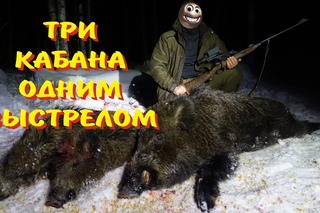 Охота на кабана, три одним выстрелом. IWT 640 Hunter