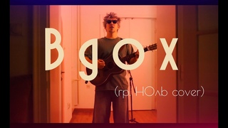 БУДЕТ ВСЕ ХОРОШО (ВДОХ) - гр. НОЛЬ (cover by VOSELOK)