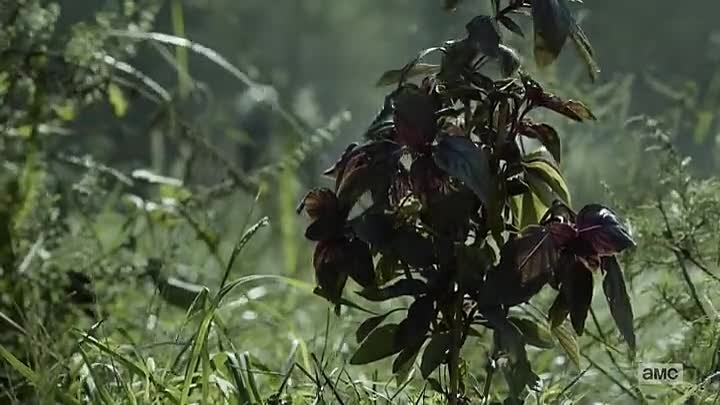 THE WALKING DEAD 10 X21 NEW( НОВАЯ