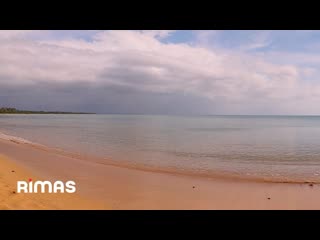Bad Bunny - Yo No Soy Celoso (360 Visualizer) | Un Verano Sin Ti