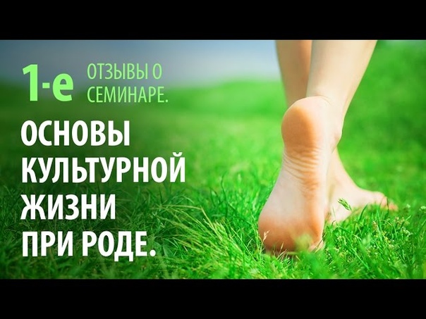 Отзывы о семинаре Основы Культурной Жизни при Роде (на