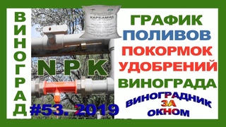 🍇 ГРАФИК и НОРМЫ поливов и подкормок винограда. Первый полив. Удобрения для винограда.