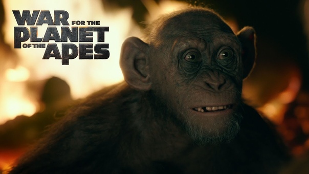 War for the Planet of the Apes, Meeting Bad Ape, 20th Century