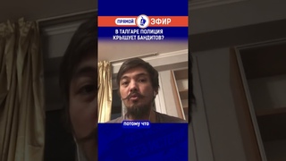 В Талгаре полиция крышует бандитов