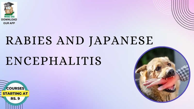 Rabies and Japanese