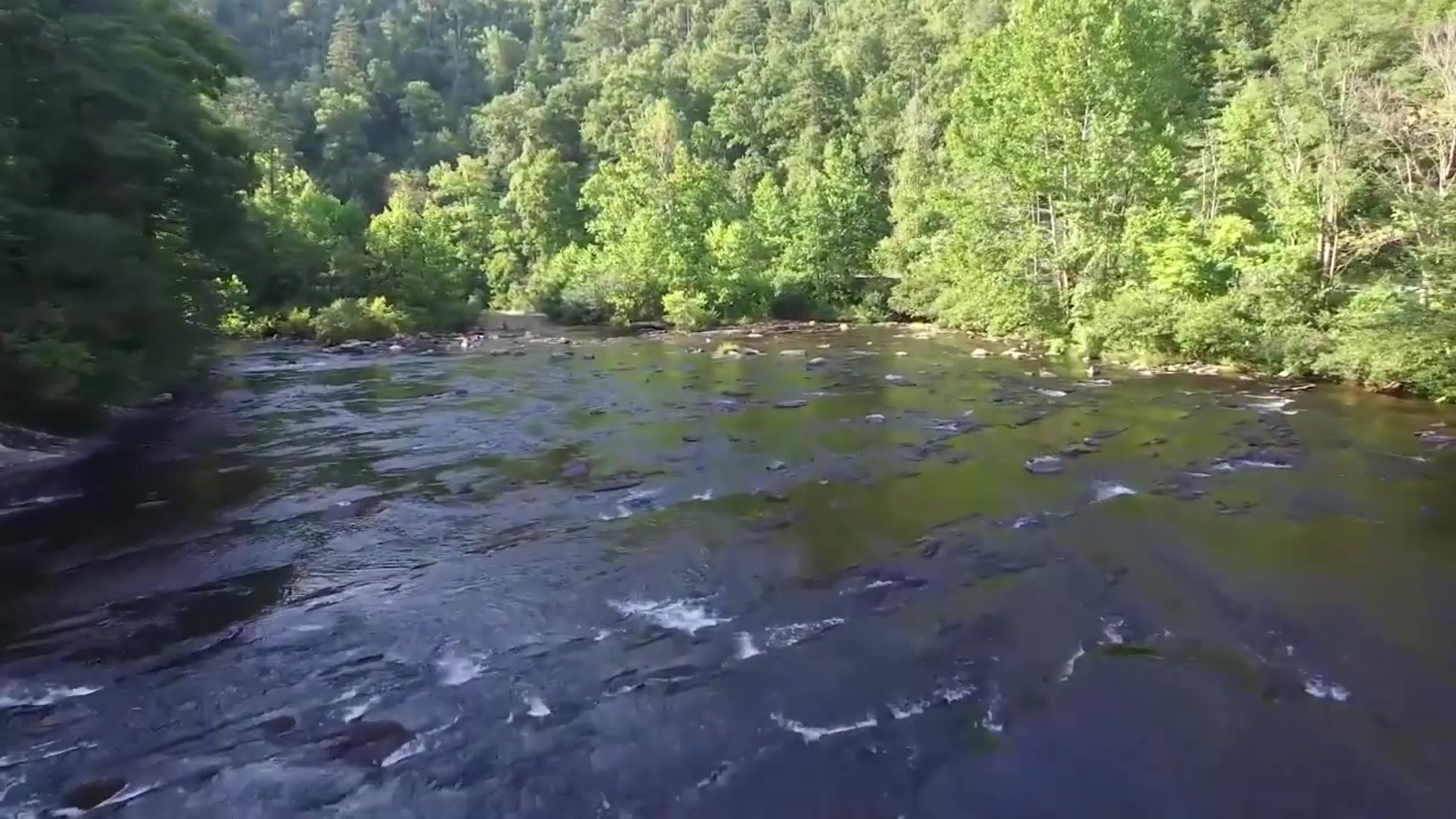 Видеоролик про реку русскую. Рыбалка на кондурче. Включи видео речка. Boy на речке. Река видео.