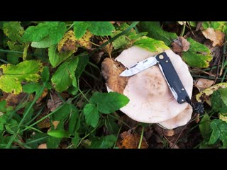 Зачем тебе нужен НОЖ   #Ужин #EDC