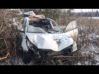 Внезапно выбежал лось: водитель погиб в утреннем ДТП в Костромской области