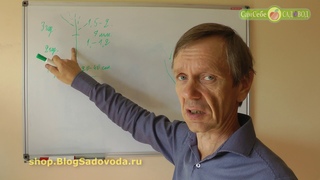 Как вырастить штамбовый фундук или лещину