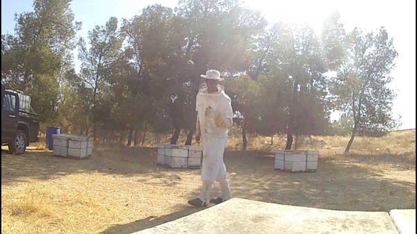 The Dancing