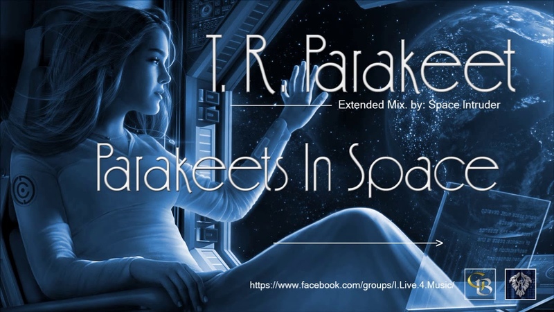 The Real Parakeet Parakeets In Space ( Extended Mix. by: Space