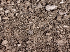 PBR Soil Texture 7