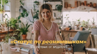 Статус по реанимашкам. Лечу растения от вредителей