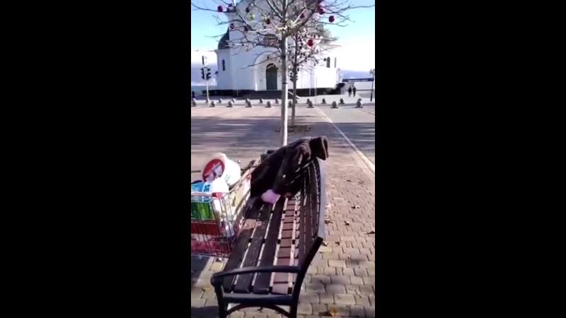 Спящая на холоде