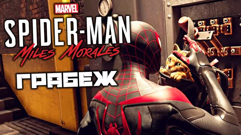 MARVEL Spider Man Miles Morales Грабеж. Найти кота. Тайники Подполья.