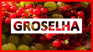 Os 15 Benefícios da Groselha Para Saúde | Dicas de Saúde