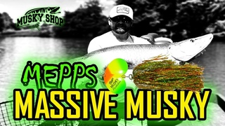 Mepps Massive Musky | Musky Fishing
