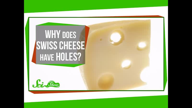 Why Does Swiss Cheese Have