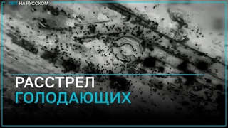 Более 100 палестинцев погибли при раздаче гумпомощи в Газе