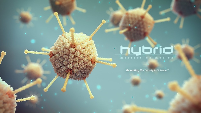 hybrid medical animation, promotional