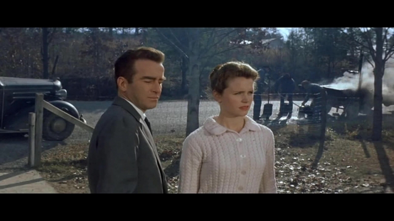 ДИКАЯ РЕКА (1960) мелодрама. Элиа Казан
