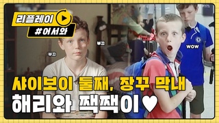 (ENG/JPN) [어서와리플레이] 샤이보이 둘째 ’해리’와 장난꾸러기 막내 ’잭’  l #어서와한국은처음이지 l