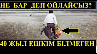 40  жыл бойы сөмкемен не тасығанын ешкім білмеген...