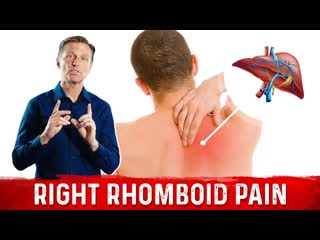 Your Liver is Triggering Your Right Shoulder Blade Pain  Liver Problems & Shoulder Pain