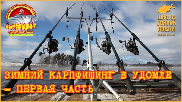 Зимний карпфишинг в Удомле первая