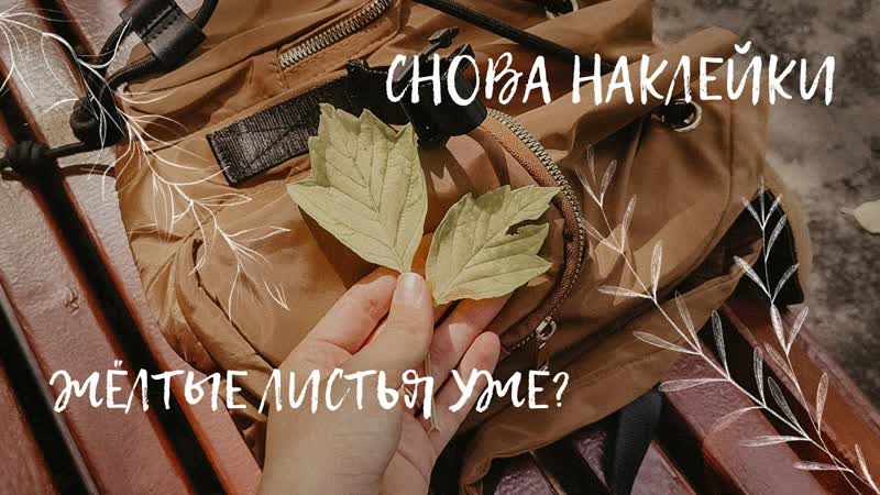 VLOG, Новые книжки, наклейки и вещи для малышки, Сладкое