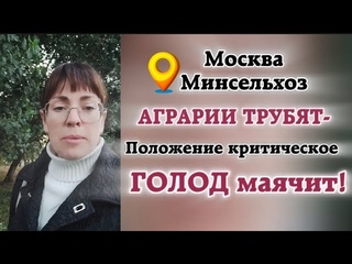 Запасы продовольствия в стране катастрафично мизерные, зато экспорт идёт большими объемами