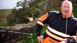 Police Search Home of Former Lumberjack as They Probe Felling of Iconic Robin Hood Tree