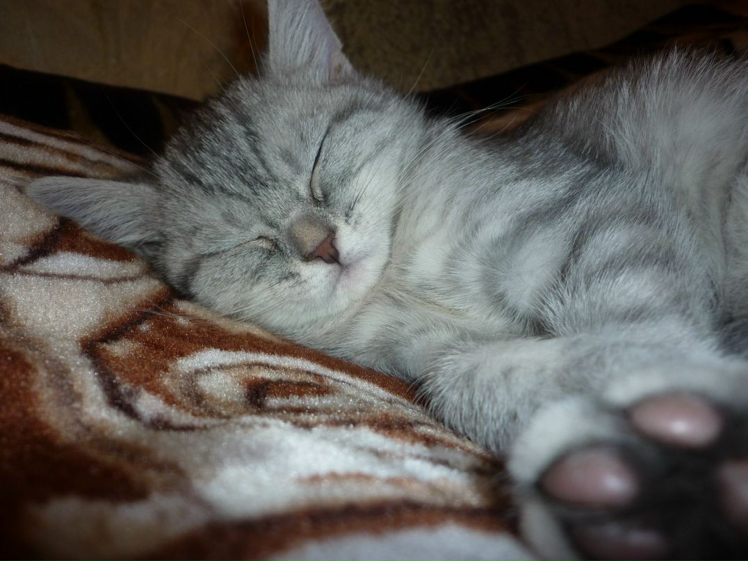 Светуля Ворончихина ♥ | Киров