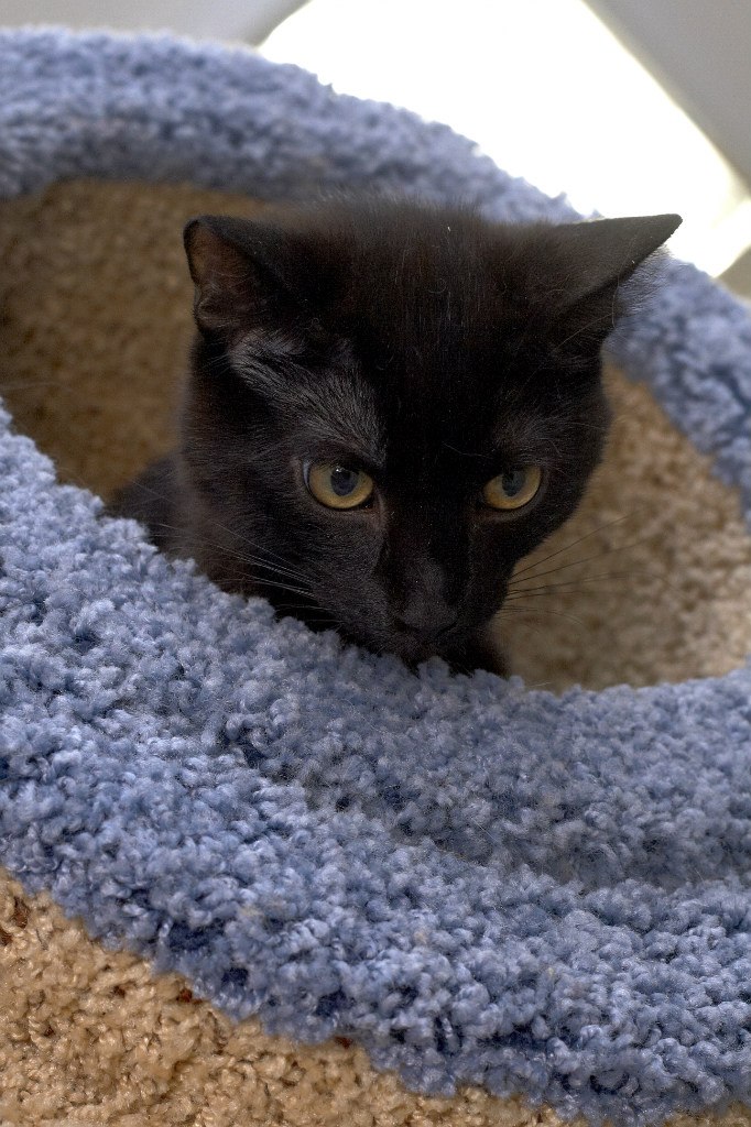 Катерина Uma rock♥n♥heart | Санкт-Петербург