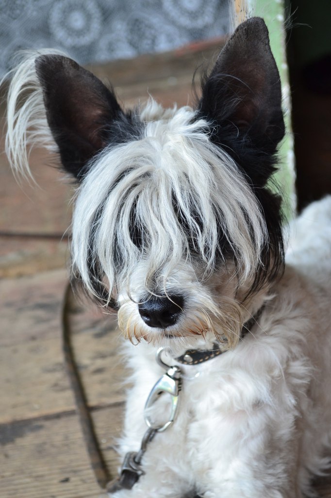 Виталий Лисов | Красноярск