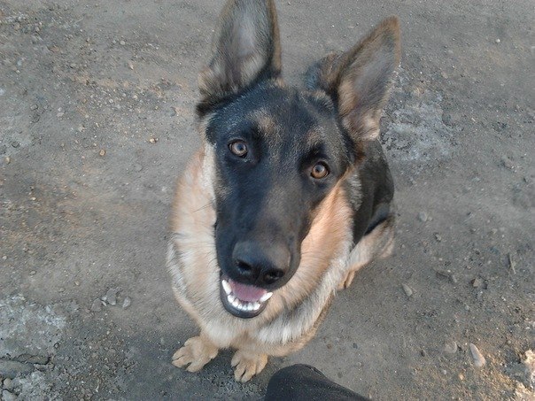 №168, Серий Теренкевич, Одесса №168, Серий Теренкевич, Одесса