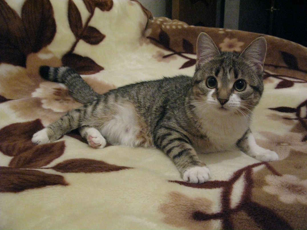 Николай Копылов | Москва