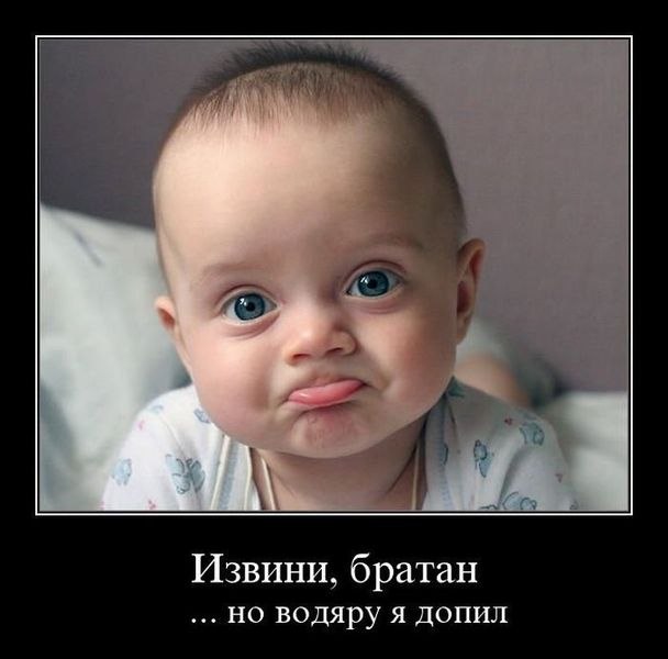 Алексей Иншаков | Балашиха