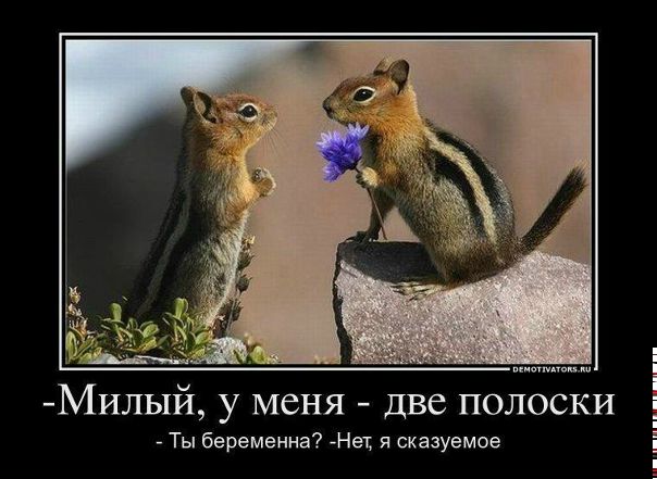 №74, Вера Гончарова, Архангельск №74, Вера Гончарова, Архангельск