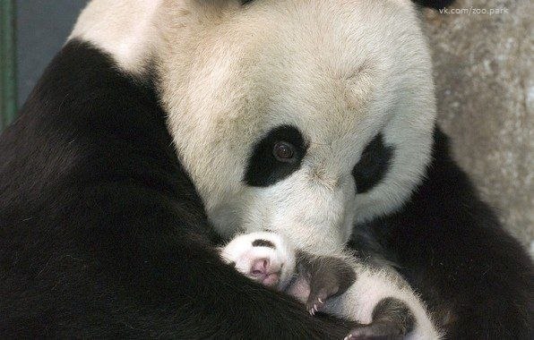 №42, Екатерина Назаренко, 35 лет, Запорожье №42, Екатерина Назаренко, 35 лет, Запорожье