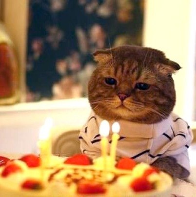 Оксана Цыплова | Москва