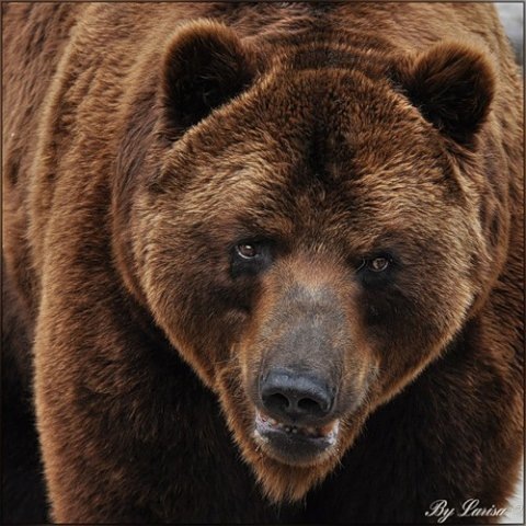 №73, Черный Смайл, 39 лет, Видное №73, Черный Смайл, 39 лет, Видное