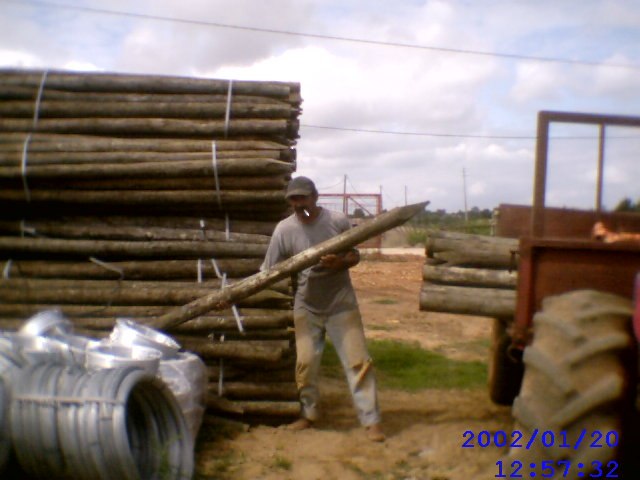 Iativ Solovei | Portimão