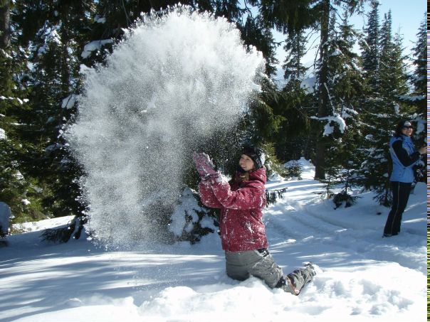 №95, Lina Lytvynenko, Харьков №95, Lina Lytvynenko, Харьков