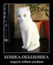 Фотография Дмитрий Рунковский