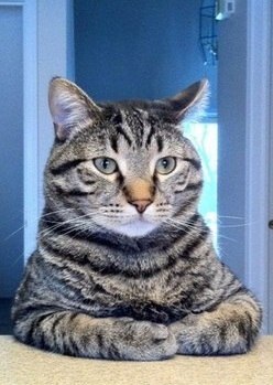 Михаил Беляев | Санкт-Петербург